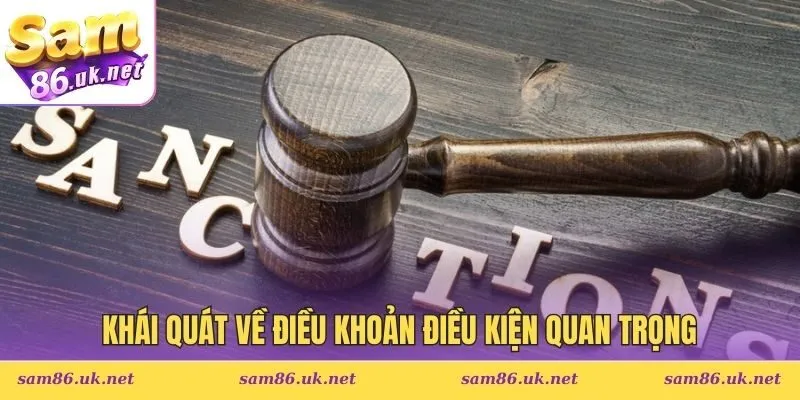 Khái quát về điều khoản điều kiện quan trọng