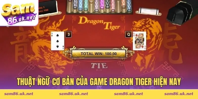 Thuật ngữ cơ bản của game Dragon Tiger hiện nay