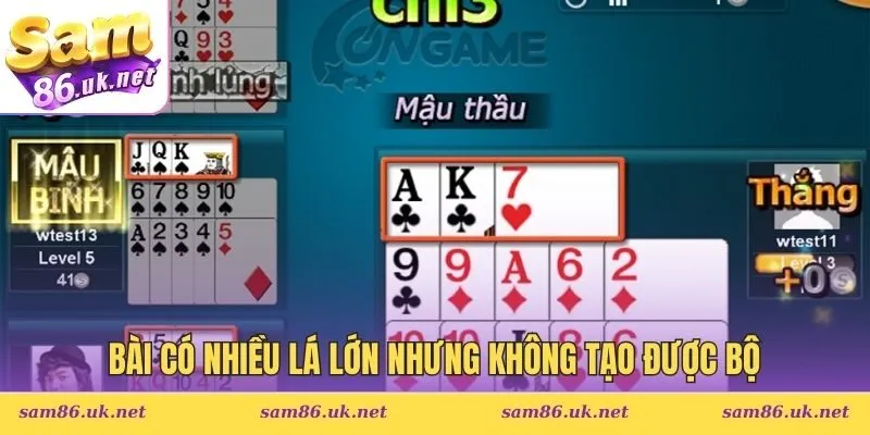 Bài có nhiều lá lớn nhưng không tạo được bộ