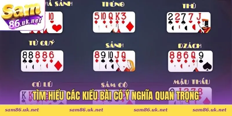 Tìm hiểu các kiểu bài có ý nghĩa quan trọng