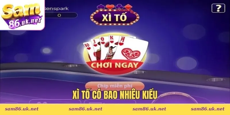xì tố có bao nhiêu kiểu